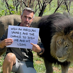 Lion Whisperer 2023 FREE